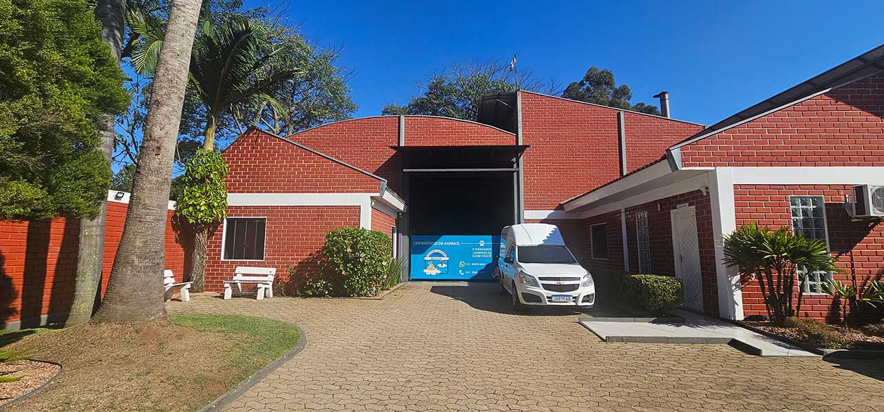 Brazcão