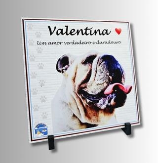 Azulejo Decorativo Pet