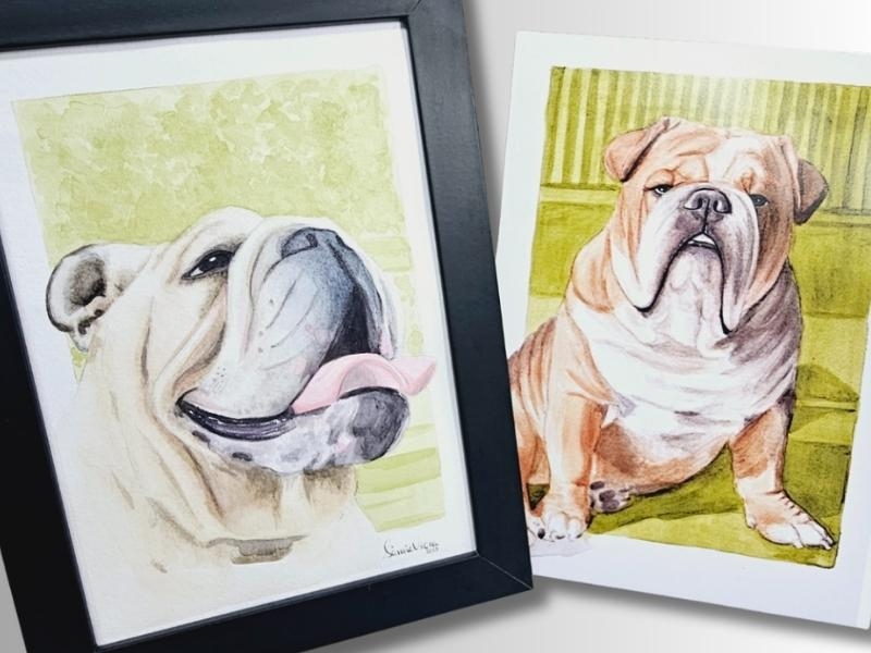 Pintura Quadro Pet