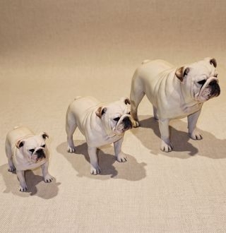 Miniatura Realista Pet